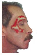 Click to see slide show...