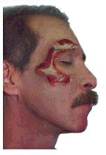 Click to see slide show...