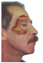 Click to see slide show...