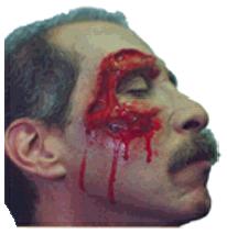 Click to see slide show...