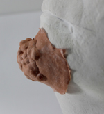 BROOMHILDA CHIN PROFILE 2X300.jpg (216462 bytes)