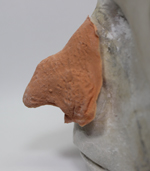 GRIZELDA NOSE PROFILE 2X300.jpg (219331 bytes)