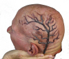 UR SO VEIN LEFT.jpg (648323 bytes)