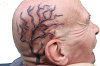 UR SO VEIN RIGHT copy.jpg (1038499 bytes)