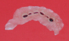 VLAD BITE 4X2X300.jpg (585919 bytes)